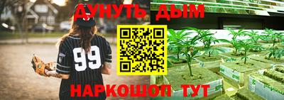 стафф Кинель