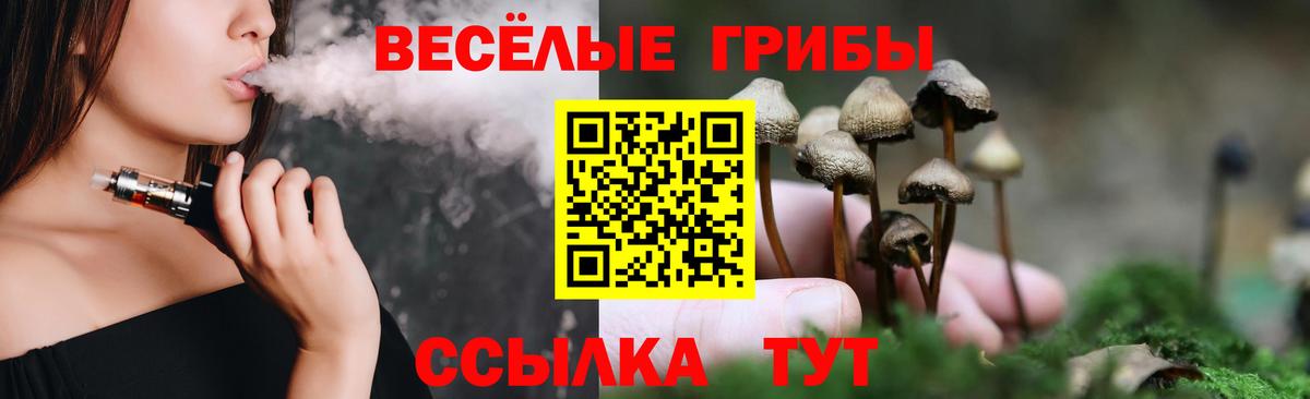 Галлюциногенные грибы Psilocybe Урюпинск